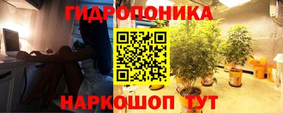 прущая мука Гагарин