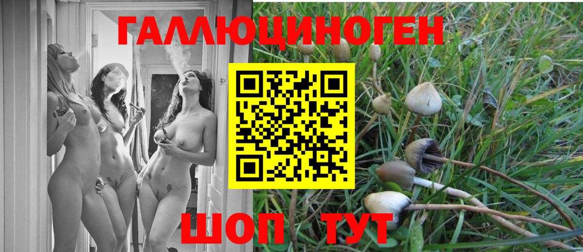 Псилоцибиновые грибы MAGIC MUSHROOMS Новосибирск