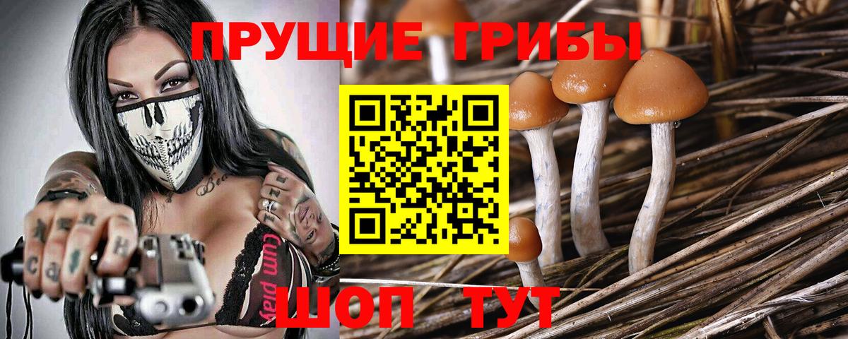 Галлюциногенные грибы MAGIC MUSHROOMS  даркнет сайт  Новосибирск 