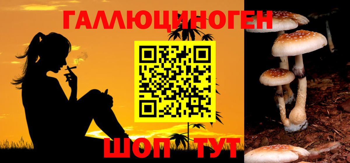 Новосибирск  Галлюциногенные грибы Magic Shrooms  Вход с VPN 